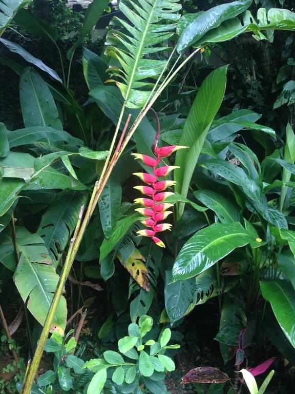 Janela De Marcia Bed And Breakfast Florianópolis 外观 照片